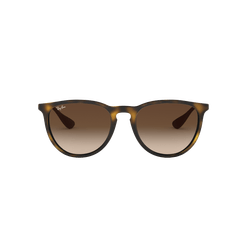 Óculos de sol Ray Ban, modelo RB4171L, cor 865/13, tamanho 54