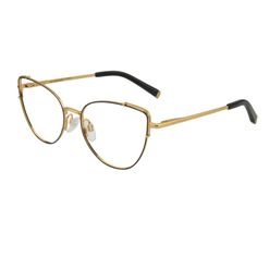 Armação de Óculos de Grau Ana Hickmann, modelo AH1397N, cor 09A