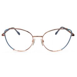 Armação de Óculos de Grau Ana Hickmann, modelo AH10008, cor 06A