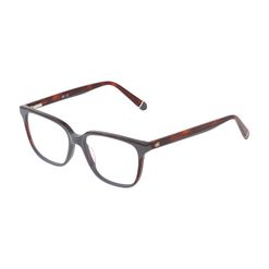 Armação de Óculos de Grau Dii Collection, modelo 5510, cor Chumbo com Demi Marrom, tamanho 52