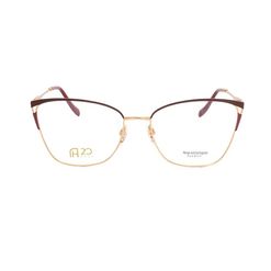 Armação de Óculos de Grau Ana Hickmann, modelo AH10005, cor 07A