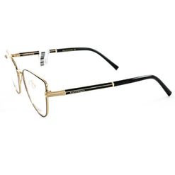 Armação de Óculos de Grau Ana Hickmann, modelo AH1390, cor 09A