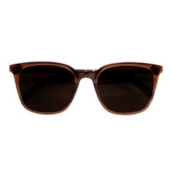 Óculos de sol Dnz, modelo 1 4244, cor Marrom
