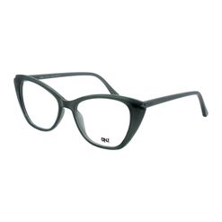 Armação de Óculos de Grau Dnz, modelo 1 4206, cor C3