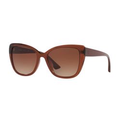 Óculos de Sol Feminino Tecnol Borboleta TN4039U Cor Marrom Escuro Brilhante