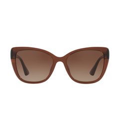 Óculos de Sol Feminino Tecnol Borboleta TN4039U Cor Marrom Escuro Brilhante