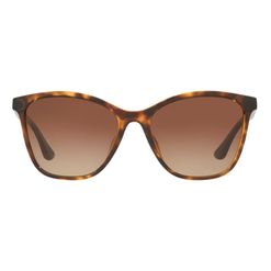 Óculos de Sol Feminino Tecnol Borboleta TN4041U cor Havana/Marrom
