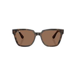 Óculos de Sol Feminino Quadrado Ray-Ban RB4437L Havana